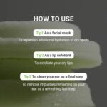 Sungboon Editor Green Tomato Pore Peeling Jumbo Pad (1)