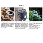 Daeng Gi Meo Ri Glamo Volume Shampoo