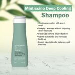 Daeng Gi Meo Ri Look At Hair Plus Minticcino Deep Cooling Shampoo