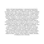 Daeng Gi Meo Ri Vitalizing Premium Shampoo (1)