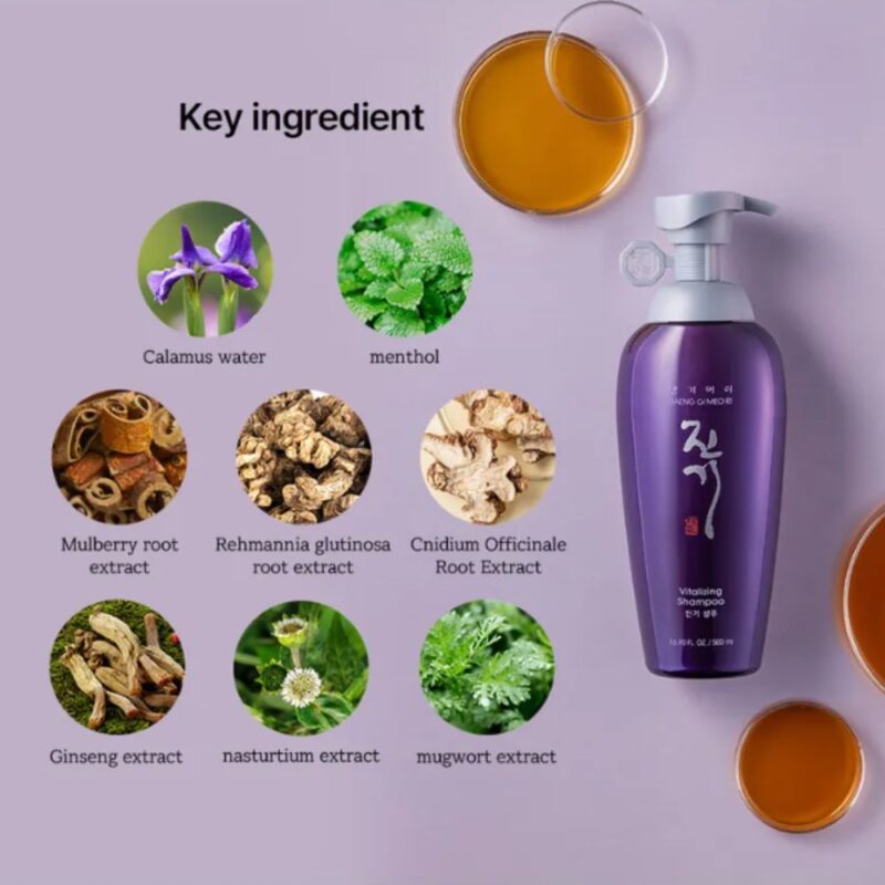 Daeng Gi Meo Ri Vitalizing Shampoo (1)