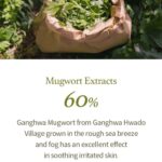 I'm from Mugwort Gel Cleanser (1)