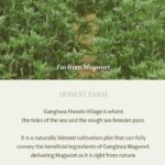 I'm from Mugwort Gel Cleanser (1)