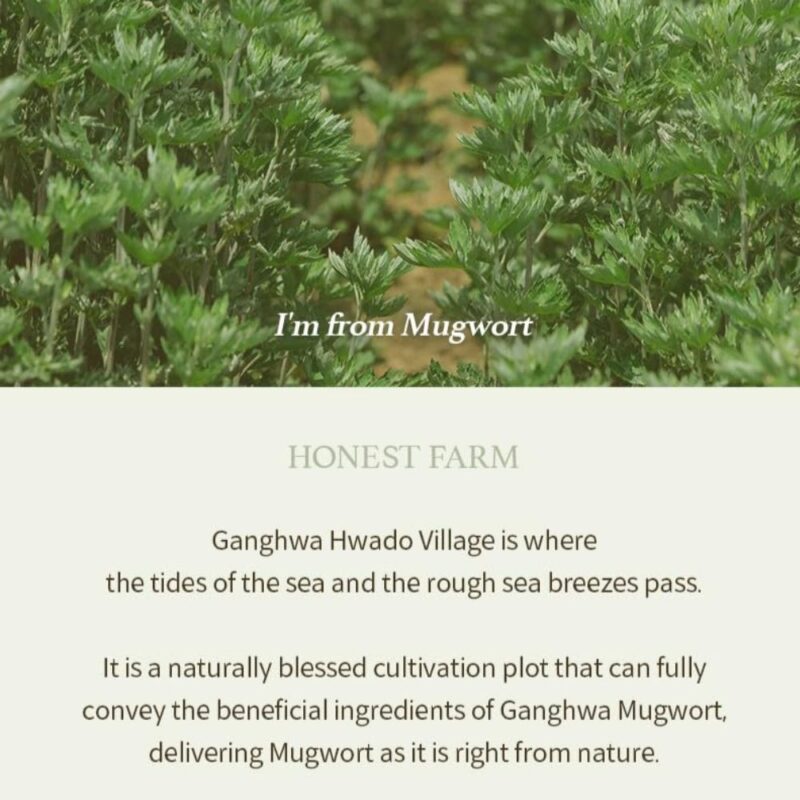 I'm from Mugwort Gel Cleanser (1)