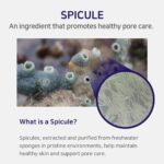 APLB Spicule Collagen Shot 300 Cream (1)