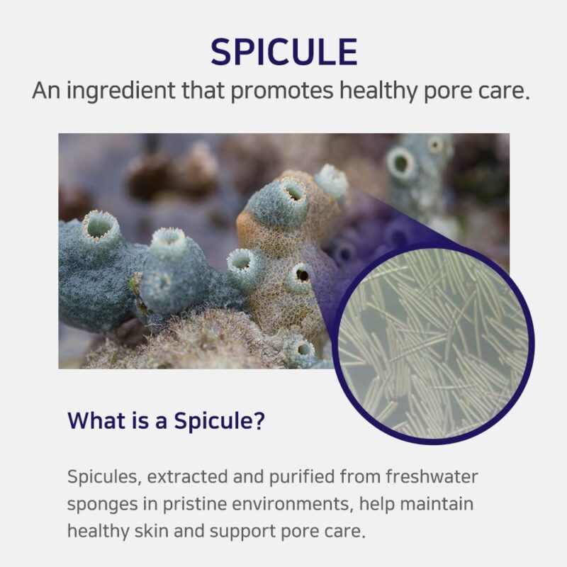 APLB Spicule Collagen Shot 300 Cream (1)