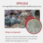 APLB Spicule Niacinamide Shot 260 Cream (1)