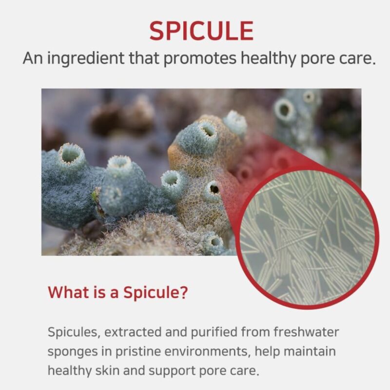 APLB Spicule Niacinamide Shot 260 Cream (1)