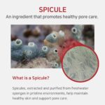 APLB Spicule Niacinamide Shot 260 Serum (4)