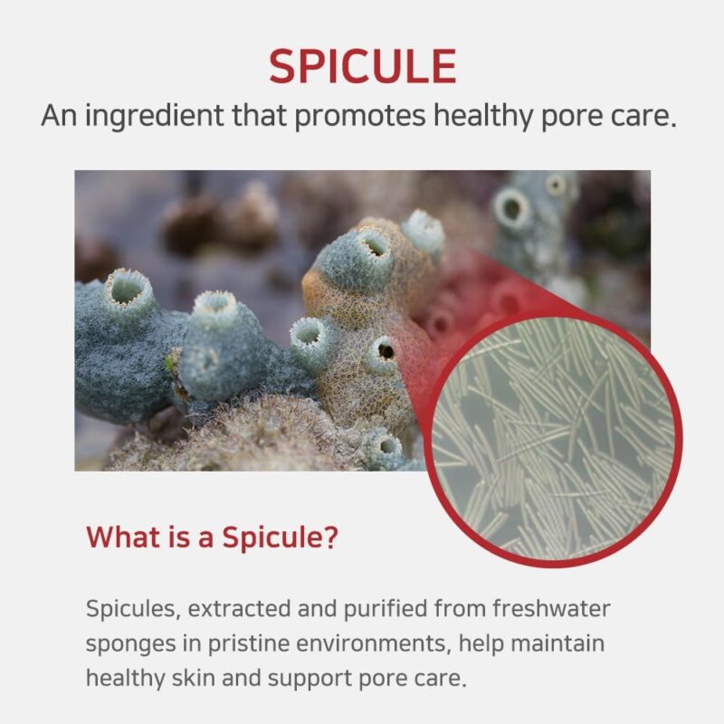 APLB Spicule Niacinamide Shot 260 Serum (4)
