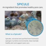 APLB Spicule Retinol Shot 180 Serum (1)