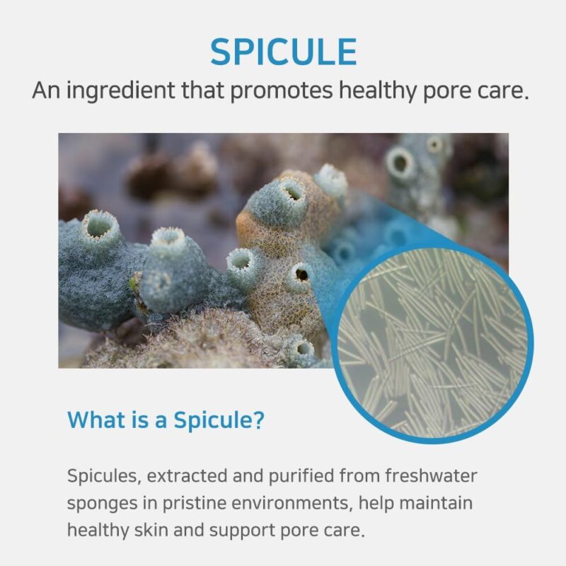 APLB Spicule Retinol Shot 180 Serum (1)