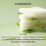 Dr. Ceuracle Tea Tree Purifine Toner Pad, 60pads - 3