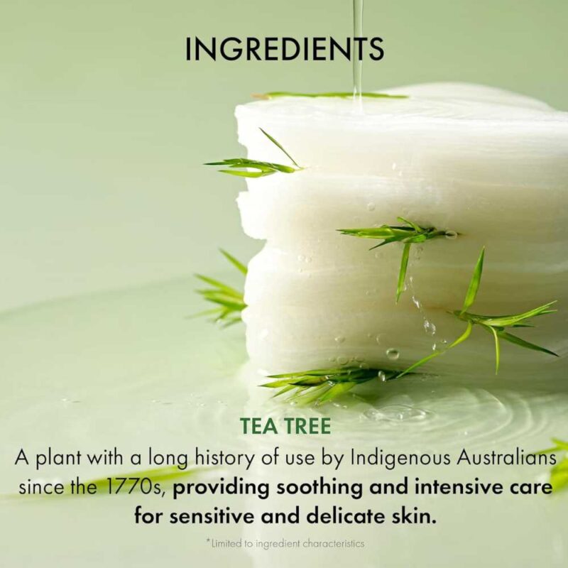 Dr. Ceuracle Tea Tree Purifine Toner Pad, 60pads - 3
