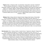 Lador Hand Cream (3)