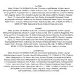 Lador Perfumed Hair Shampoo