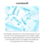 Mixsoon Pure Lacto Inner Cleanser (1)