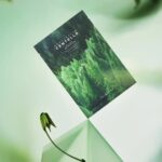 Skin1004 Madagascar Centella Tea-Trica Relaxing Mask