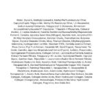 Medi-Peel Premium Golden Camellia Wrinkle Essence (2) Medi-Peel Premium Golden Camellia Wrinkle Essence (1)