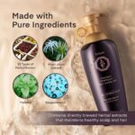 Daeng Gi Meo Ri Ki Gold Premium Shampoo (1)