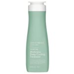 Daeng Gi Meo Ri Look At Hair Plus Minticcino Deep Cooling Treatment (1)