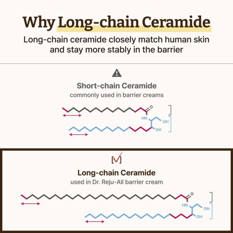 Dr. Reju-All Advanced LC-Ceramide Barrier Cream (5)