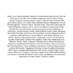 Somebymi Snail Truecica Miracle Repair Low ph Gel Cleanser lista ingrediente