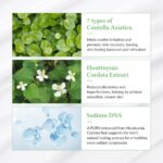 Dr. Althea Green Tea Fresh Sunscreen