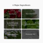 Dr. Althea Oasis Soothing Mask (1)