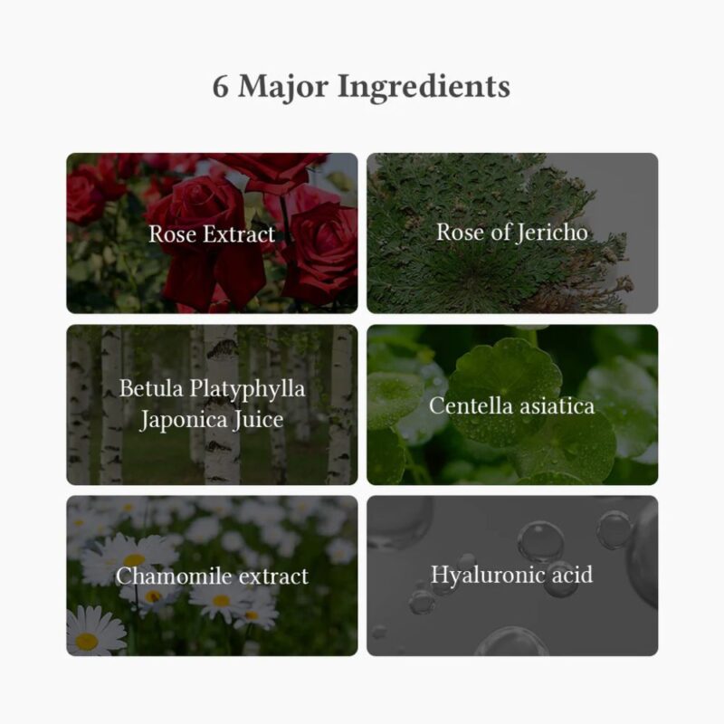 Dr. Althea Oasis Soothing Mask (1)