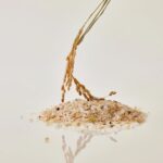 House of Hur Brightening Skin Prep Essence Pad (2)