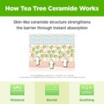 ISOI Moisture Dr. Cream (1)