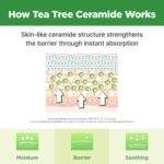 ISOI Moisture Dr. Toner (1)