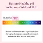 I'm from Fig Foam Cleanser (1)