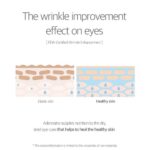 Round Lab 1025 Dokdo Eye Cream, 30ml - 6