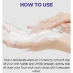 Acwell pH Balancing Soothing Cleansing Foam (2)