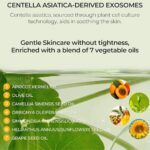 Be The Skin Pore Reset Glass Skin Cleansing Oil