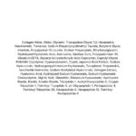 Biodance Pore Perfecting Collagen Peptide Serum lista ingrediente