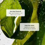 Biodance Refreshing Sea Kelp Serum (1)