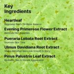 Ongredients AC Balancing Serum (1)