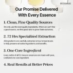 Mixsoon Panax Ginseng Root Essence (1)