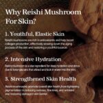 Mixsoon Reishi Mushroom Essence (1)
