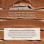Mixsoon Reishi Mushroom Essence (1)