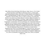 Sungboon Editor Meoru Podo VitaC Dark Spot Pad lista ingrediente