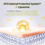 APLB Liposome Vitamin C LX Cream (1)