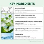 KSECRET Seoul 1988 Repair Cream Niacica 20% + Mugwort