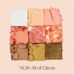06 All Of Citrus (1)