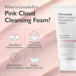 Genabelle Pink Cloud Cleansing Foam (2)