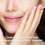 I'm from Mugwort Essence (3)