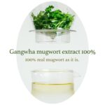 I'm from Mugwort Mask VARIANTA MINI (1)